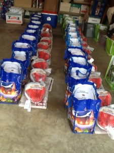 photo2