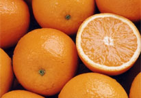 citrus
